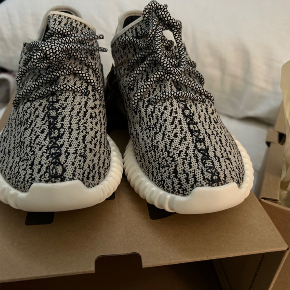 Yeezy Boost 350 Turtle - Picture 3 of 14